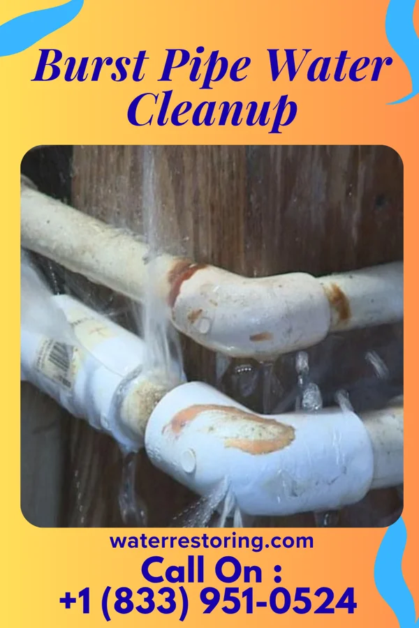 Burst Pipe Water Cleanup in Indian Mountain Lake, PA