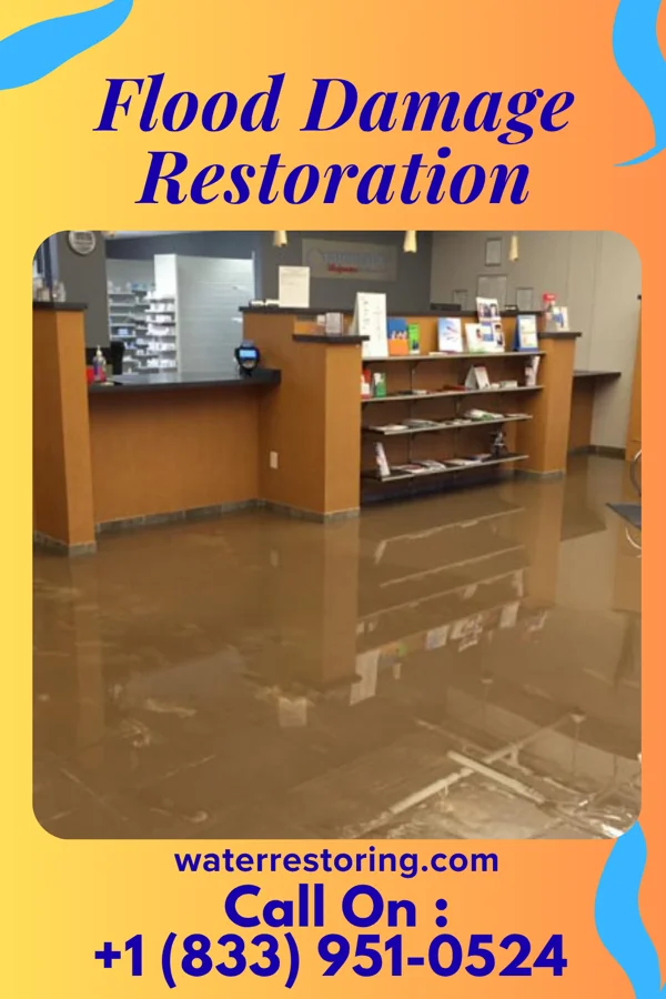 Flood Damage Restoration in Indian Mountain Lake, PA