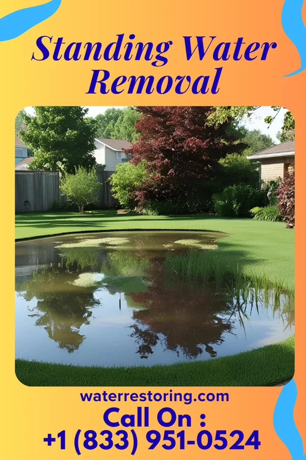 Standing Water Removal in Indian Mountain Lake, PA